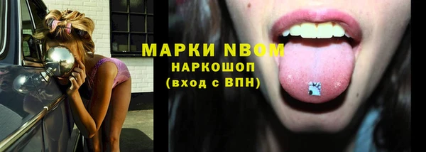 бошки Алексин