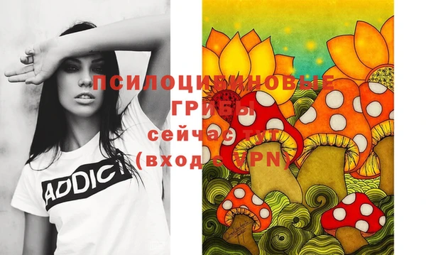 PSILOCYBIN Алексеевка