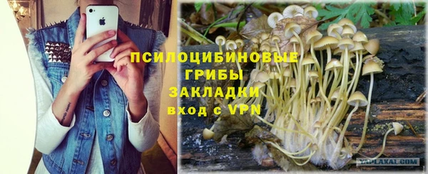 мяу мяу мука Алзамай