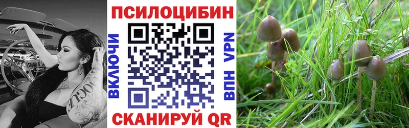 наркошоп  Нурлат  Галлюциногенные грибы ЛСД 