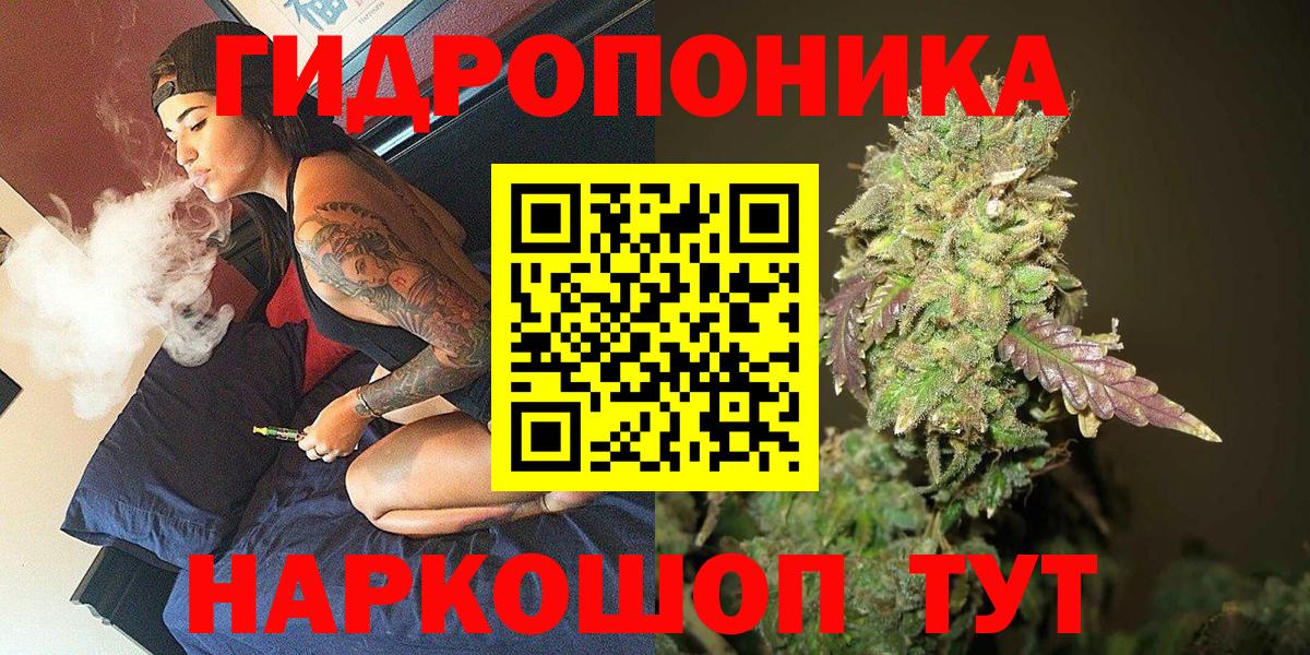 Конопля конопля  Вход с VPN  Нурлат  Шишки марихуана Bruce Banner  Каннабис индика 